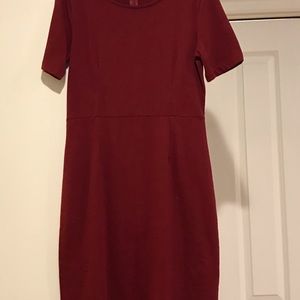 Jcrew knit dress